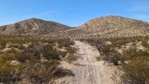 pxl 20230114 182609502