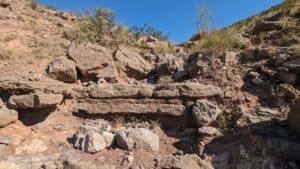 pxl 20231104 171005950