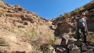 pxl 20231104 171134238