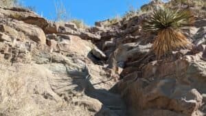 pxl 20231104 171147840