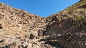 pxl 20231104 171314823