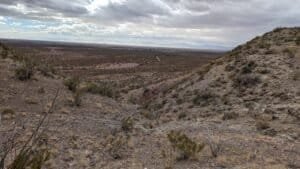 pxl 20231125 194338235