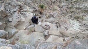 pxl 20231125 195303082