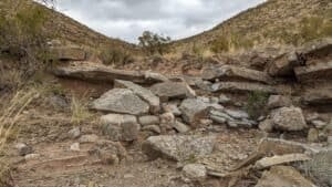 pxl 20231125 200150329