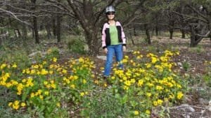 fb burleson ridge yellow flowers