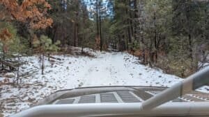 pxl 20240402 160042674