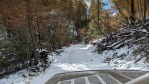 pxl 20240402 160555807