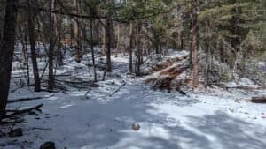 pxl 20240402 161201708