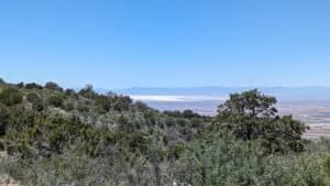 pxl 20240430 194104004