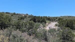 pxl 20240430 194108586