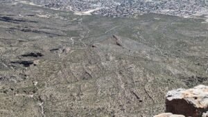 pxl 20240430 195005886