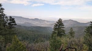 pxl 20250531 173928017