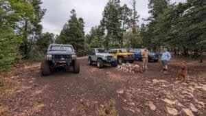 pxl 20250531 175249758