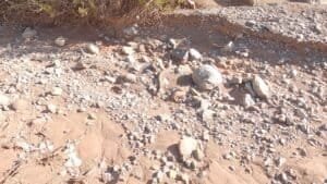 rattlesnakecanyon044