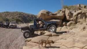 rattlesnakecanyon133