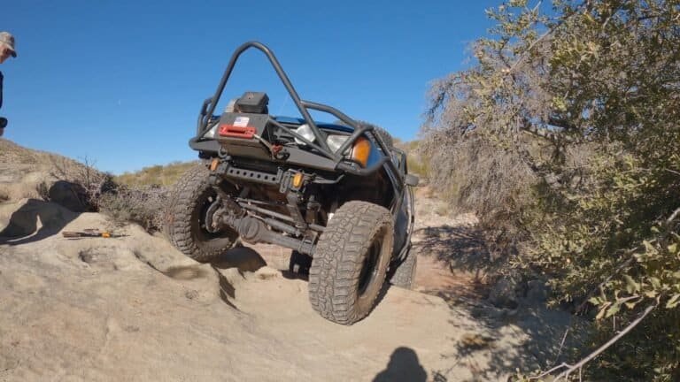 babyrattler019