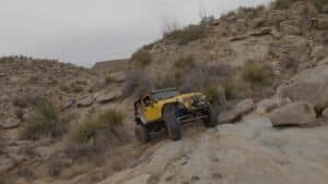 babyrattler039