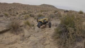 babyrattler049